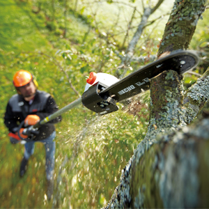 Echo Chainsaw Pole Pruner 300px